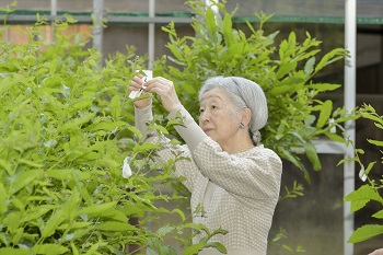 皇后陛下のお写真