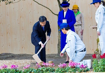 お手入れのお写真