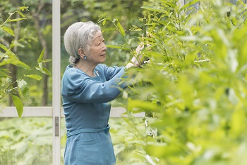 皇后陛下のお写真