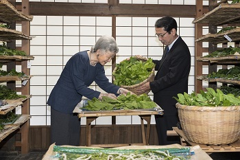 ご給桑のお写真