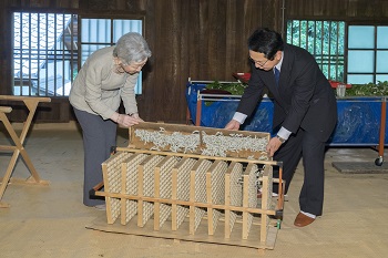 ご養蚕のお写真