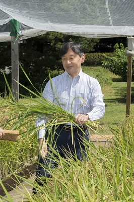 お写真