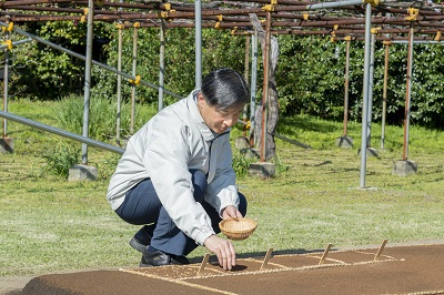 お写真