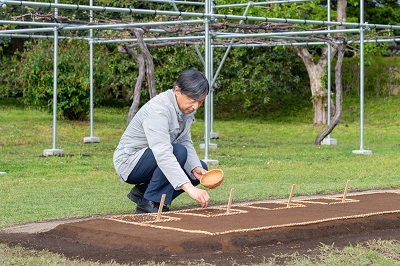 お写真