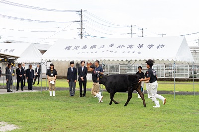 お写真