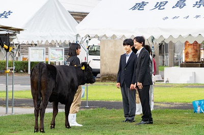 お写真