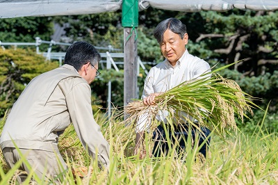 お写真