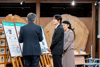 お写真