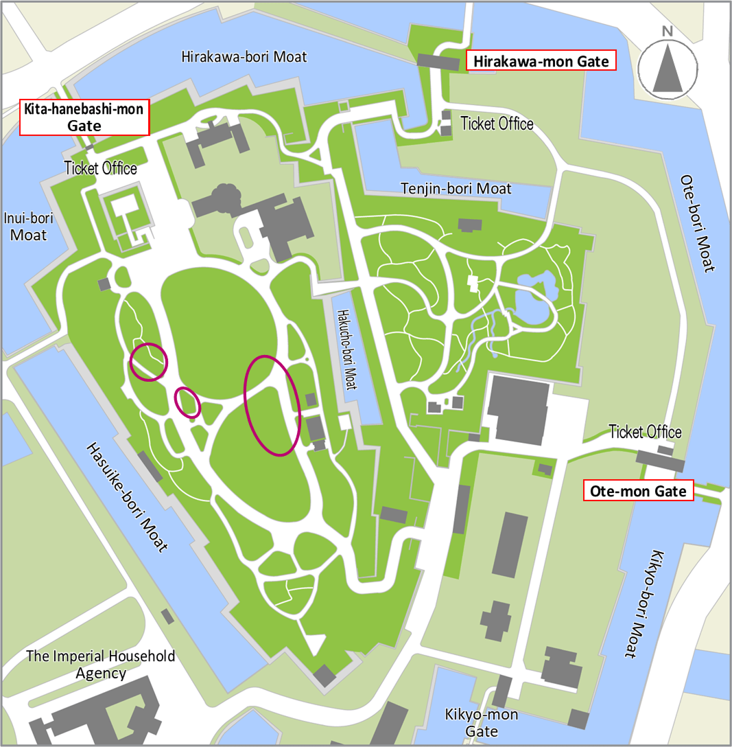 Cherry tree (Good time to see：early Feb.～early Mar.) bloom map