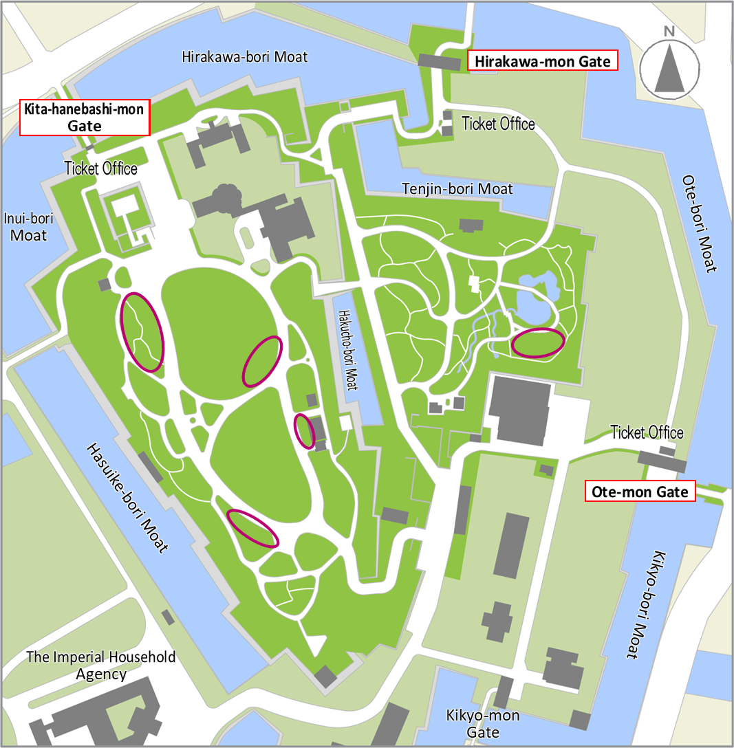 Cherry tree (Good time to see：mid Apr.～late Apr.) bloom map