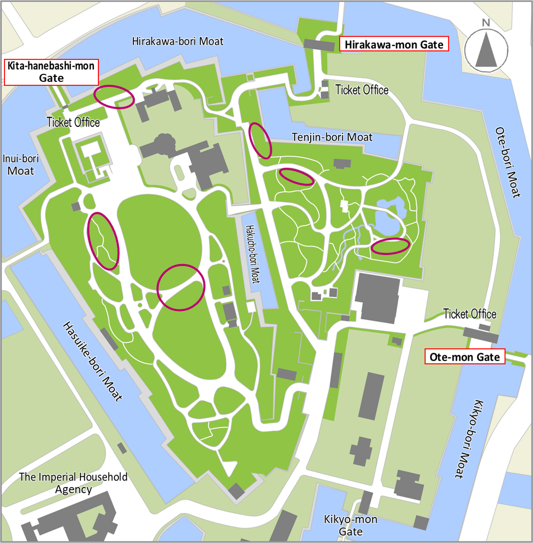 Cherry tree (Good time to see：mid Mar.～early Apr.) bloom map