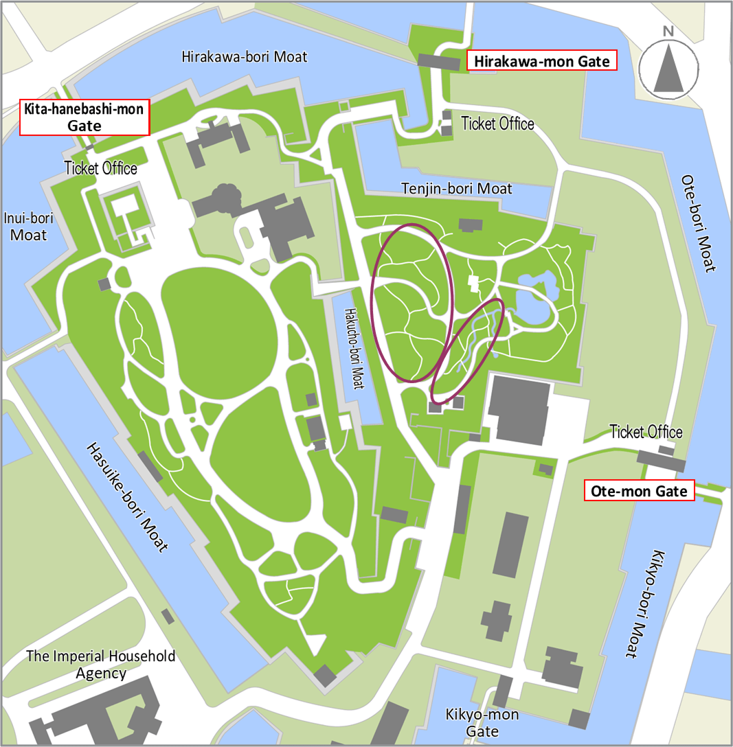 Silver orchid bloom map