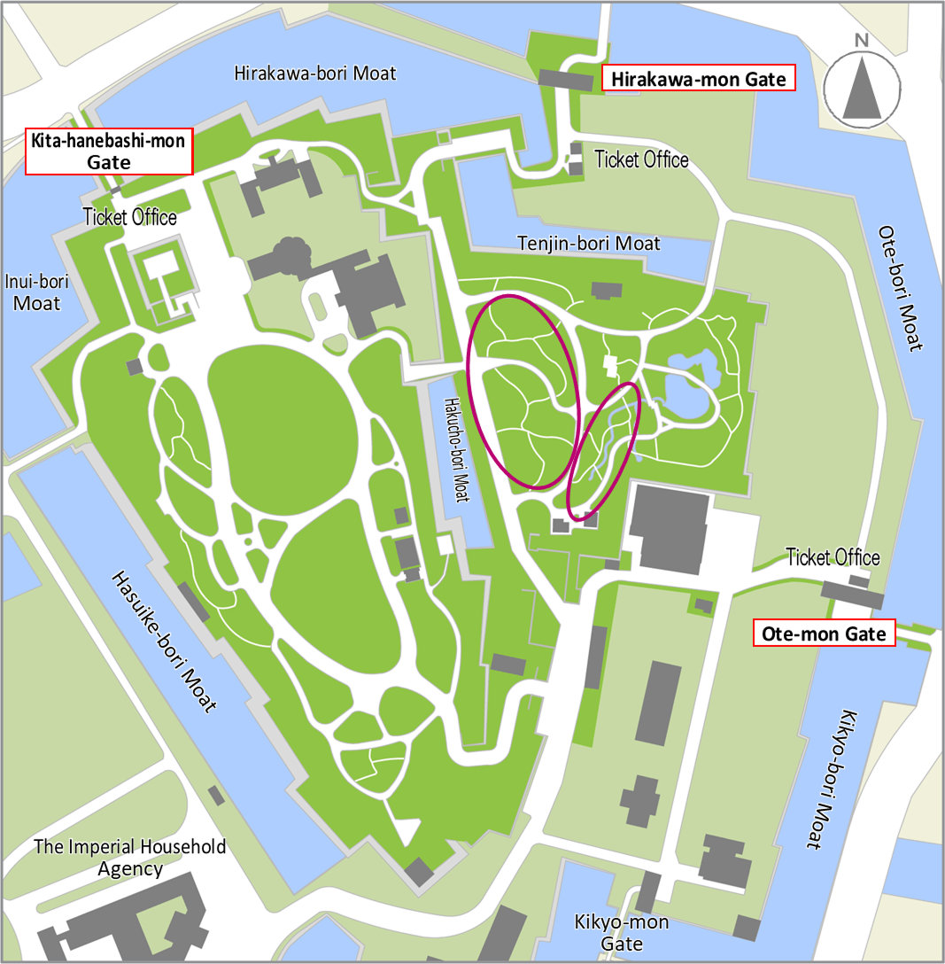 Torch azalea bloom map