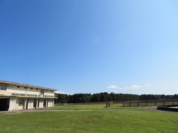 牧場見学会