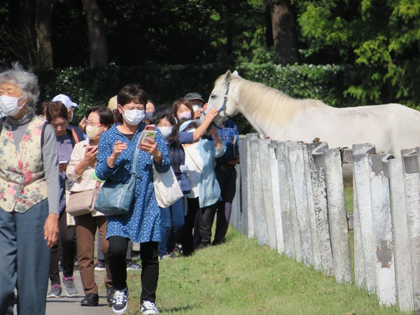 牧場見学会