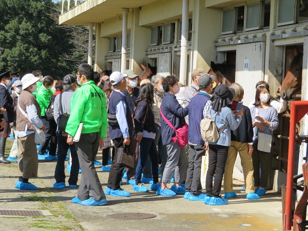 牧場見学会