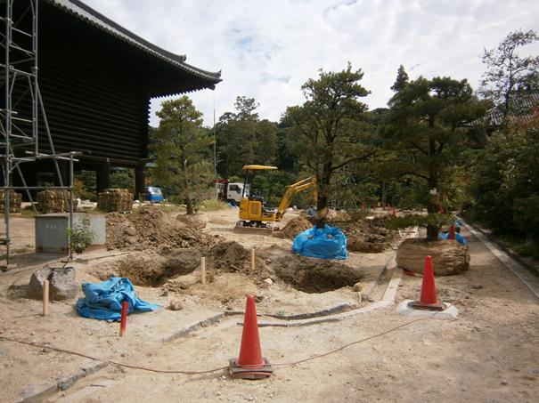 工事で支障となった移植樹木の植込み作業中。（正倉南側）