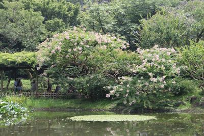 二の丸池南側