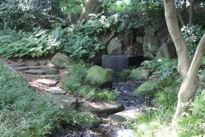 二の丸菖蒲田周辺の吹き井戸
