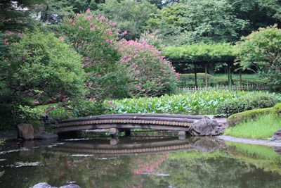 二の丸池周辺