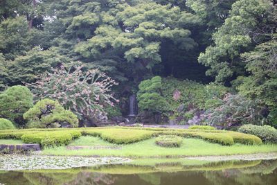 二の丸池周辺