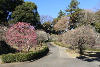 二の丸雑木林