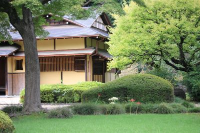 諏訪の茶屋とシロバナマンジュシャゲ