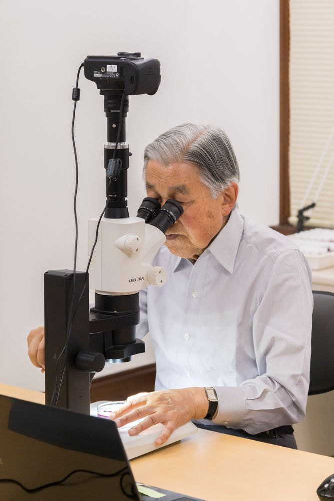 ご研究をなさる天皇陛下のお写真