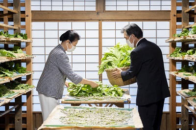 ご給桑をなさる皇后陛下