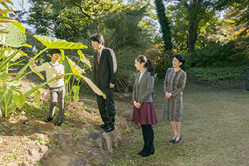 秋篠宮ご一家のお写真