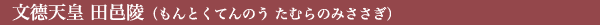 文德天皇 田邑陵(もんとくてんのう たむらのみささぎ)