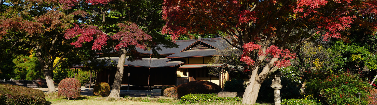 紅葉と諏訪の茶屋