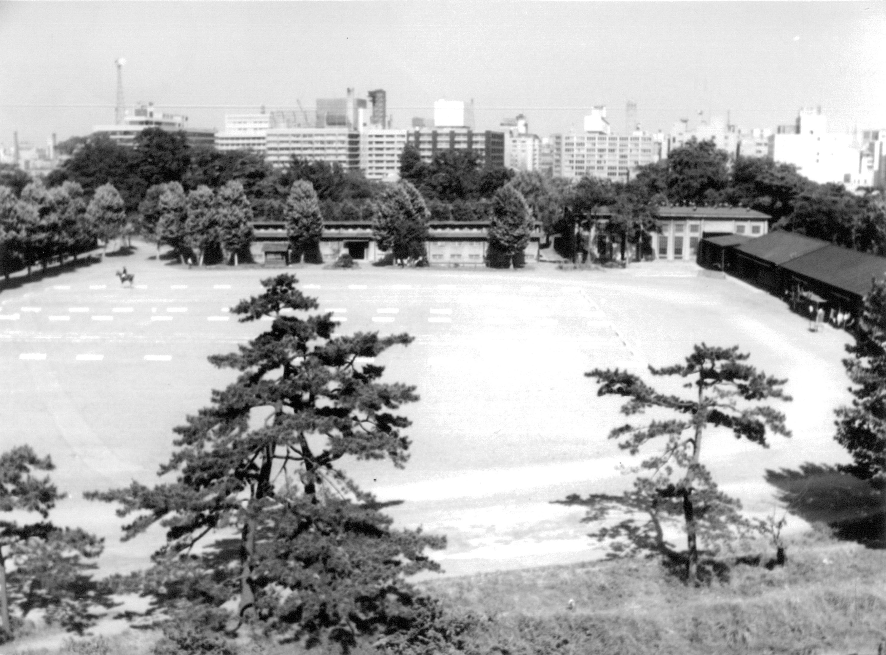 馬場(現 二の丸雑木林) 開園前(馬場)(昭和36年(1961)~昭和39年(1964)頃)*