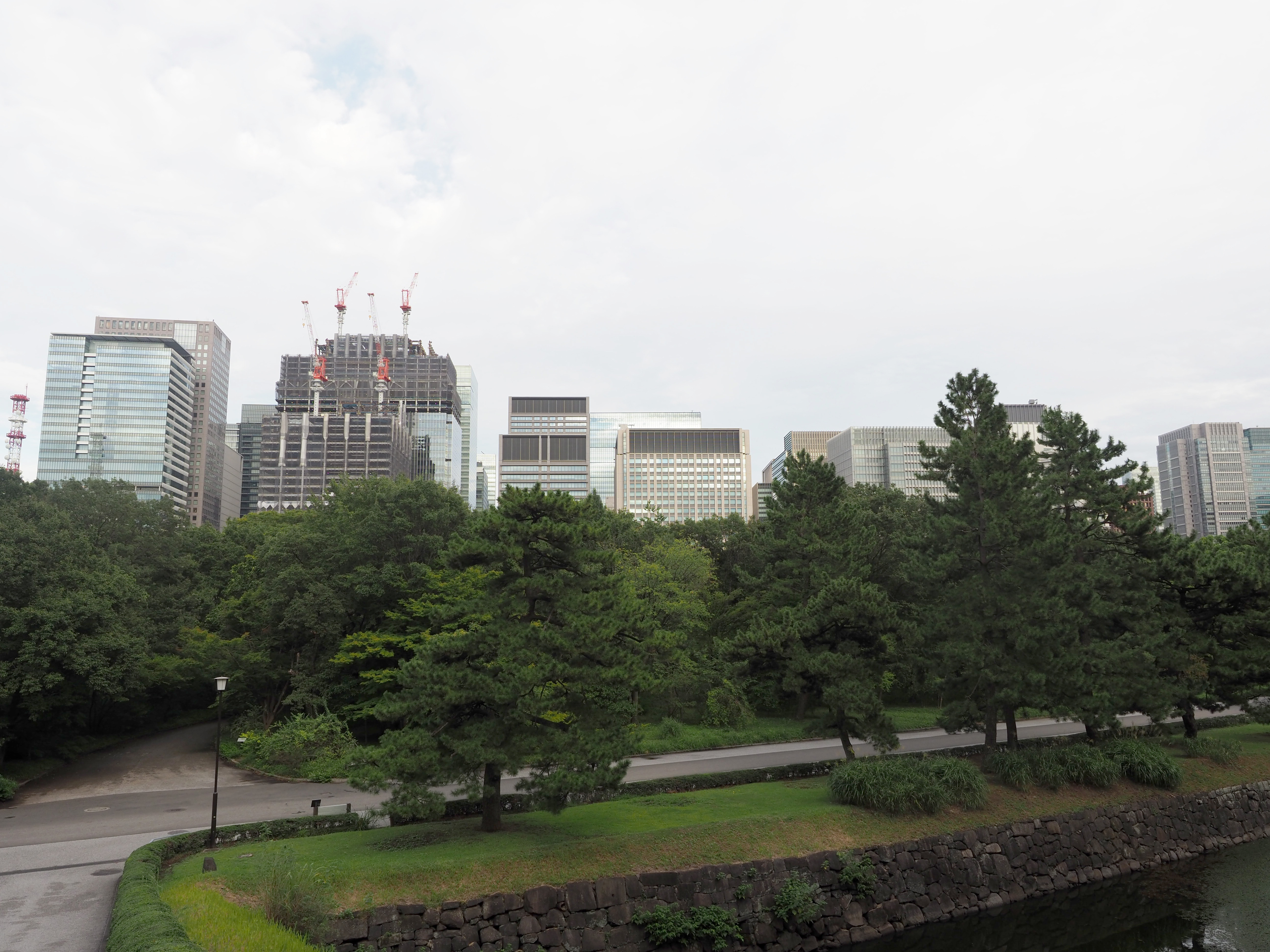 馬場(現 二の丸雑木林) 現在(二の丸雑木林)(平成30年(2018))