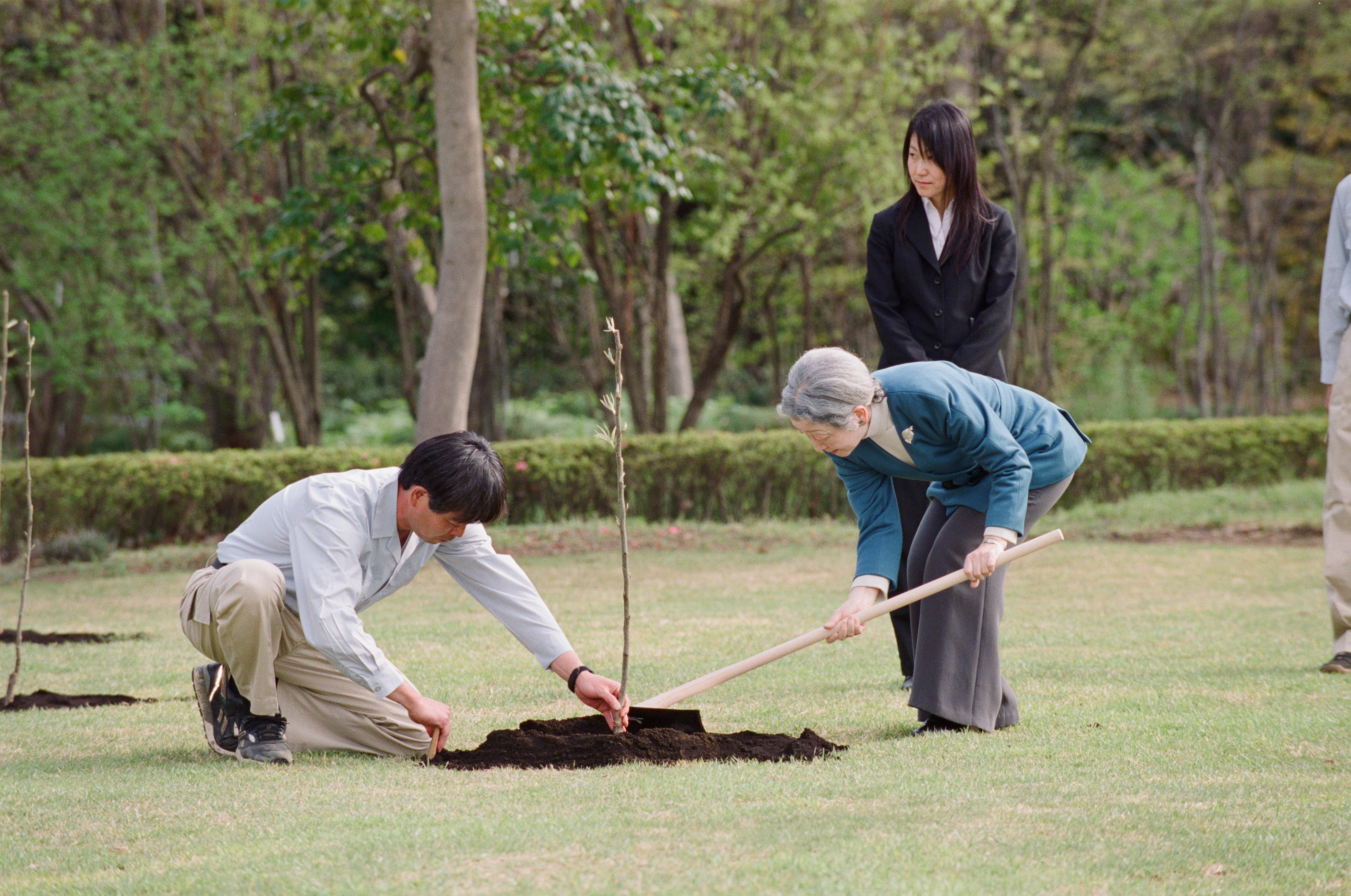 上皇上皇后両陛下の皇居東御苑におけるご植樹