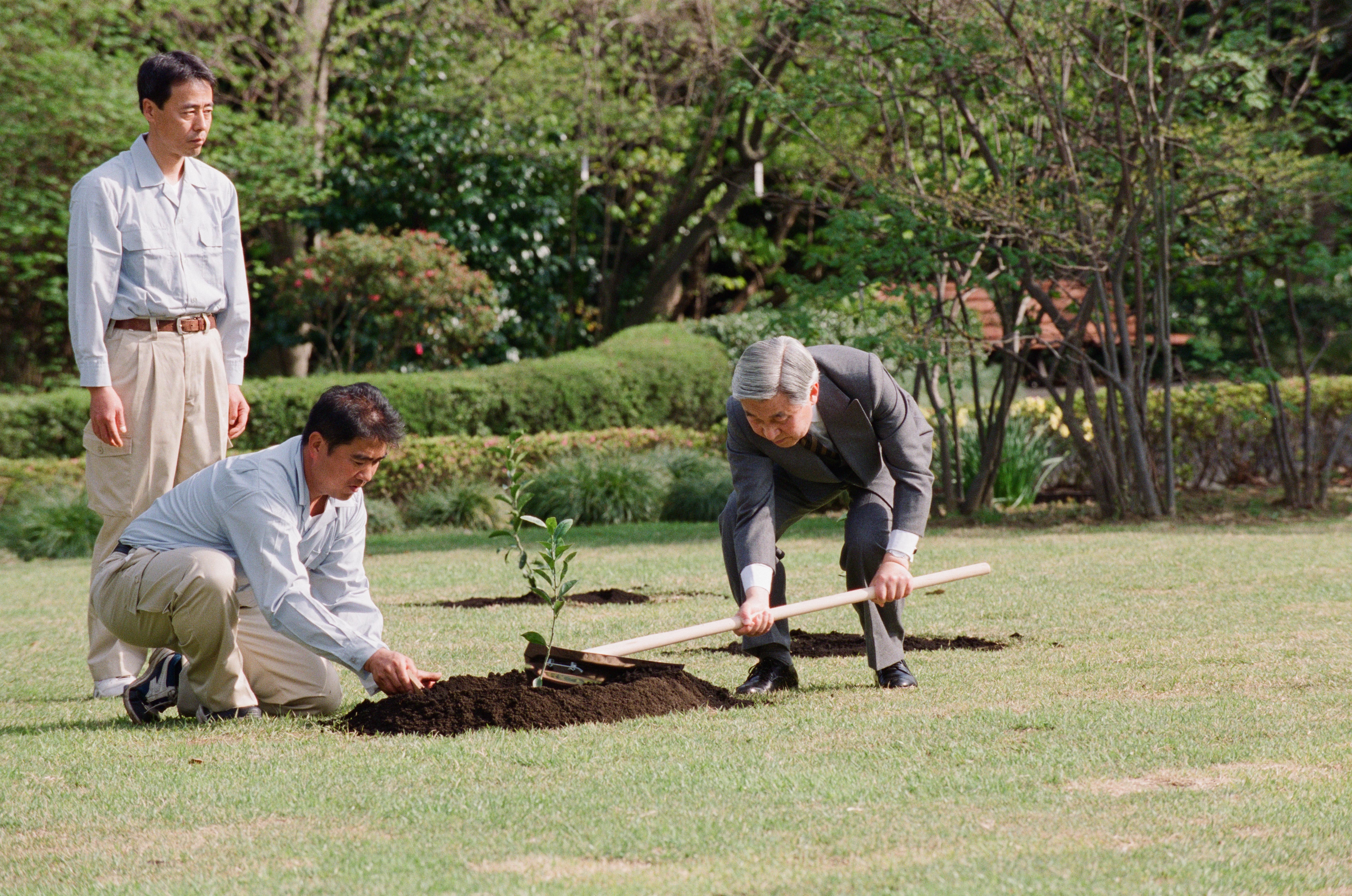 上皇上皇后両陛下の皇居東御苑におけるご植樹