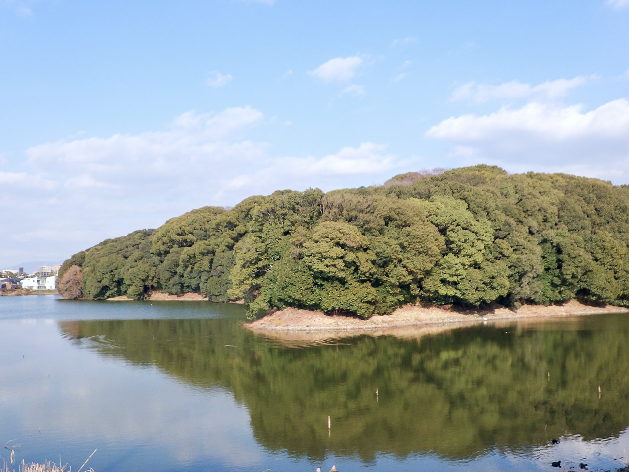 仲哀天皇 惠我長野西陵