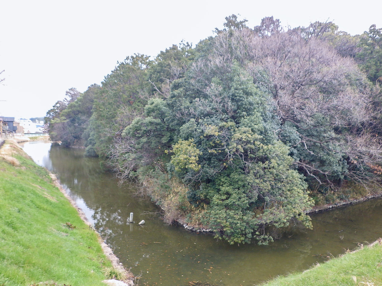 仁賢天皇　埴生坂本陵