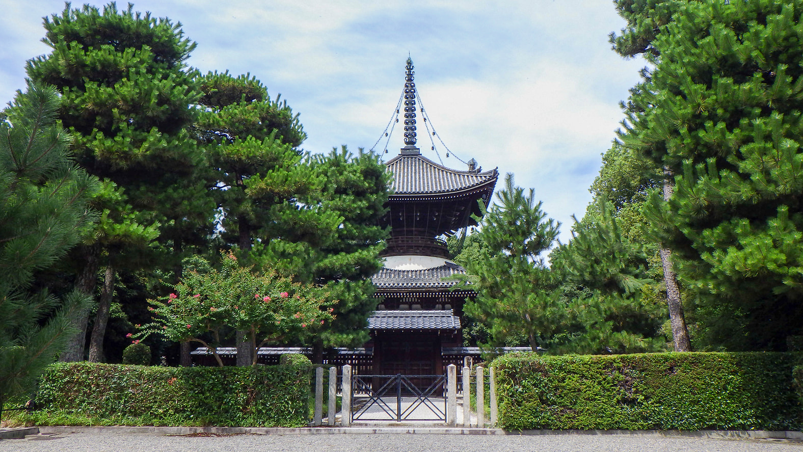 近衞天皇 安樂壽院南陵