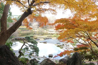 写真：晩秋の二の丸池