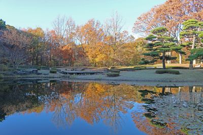 写真：二の丸池に映る新雑木林