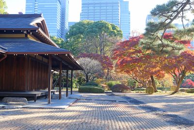 写真：諏訪の茶屋