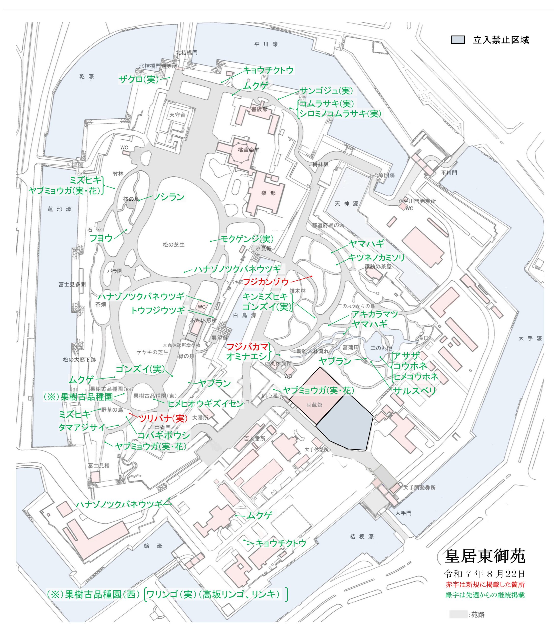 令和7年8月22日皇居東御苑開花地図
