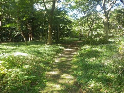 観察会コースの様子