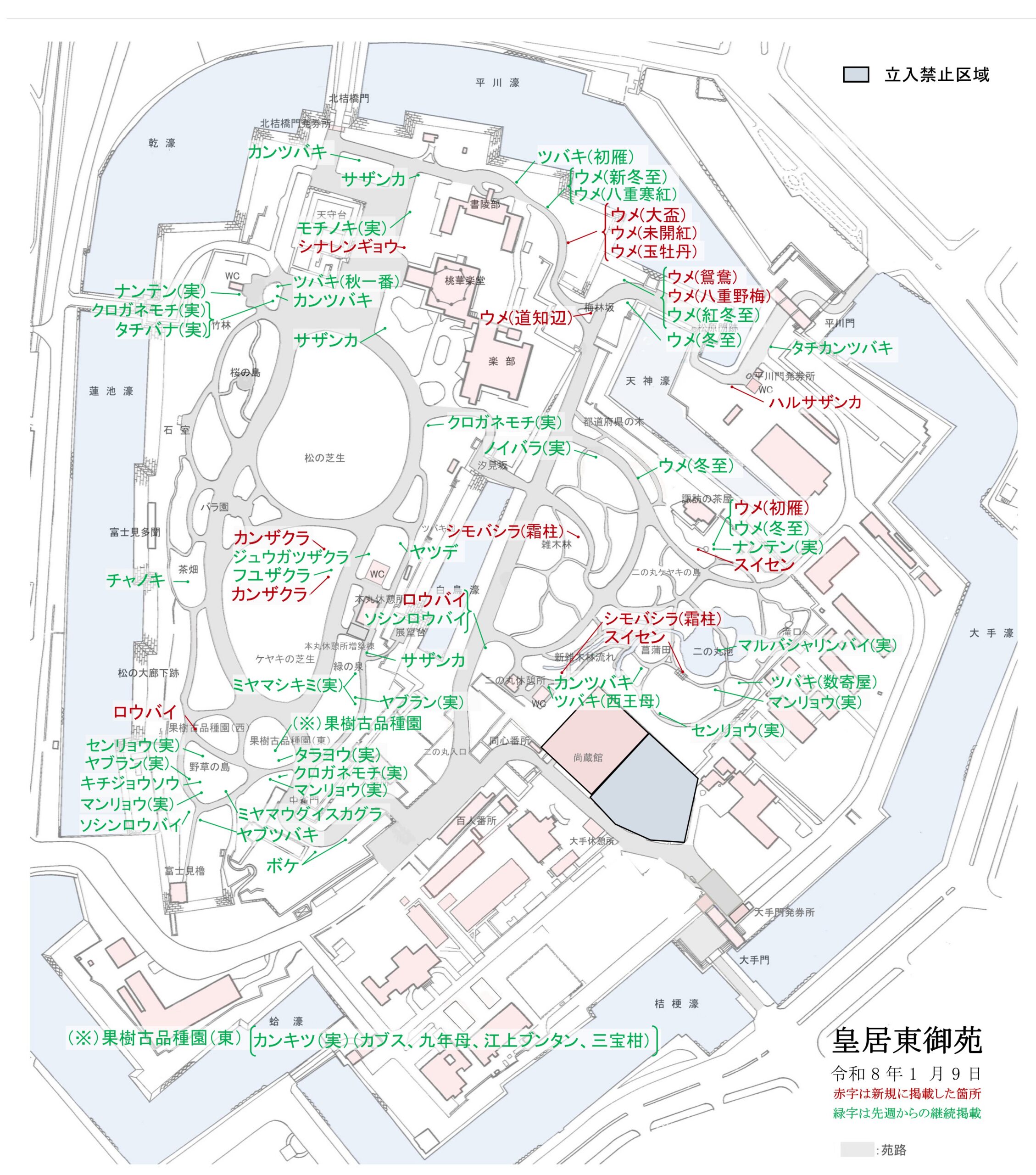 令和8年1月9日皇居東御苑開花地図