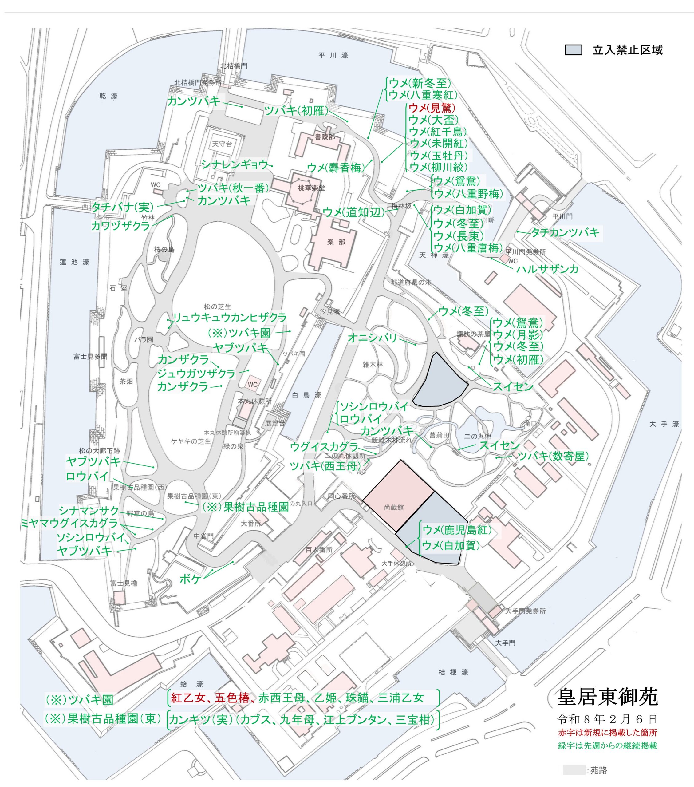 令和8年2月6日皇居東御苑開花地図