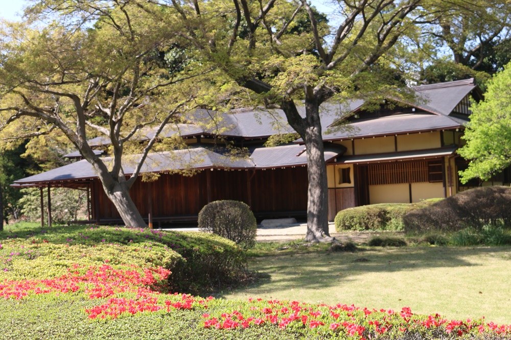 写真：クルメツツジと諏訪の茶屋