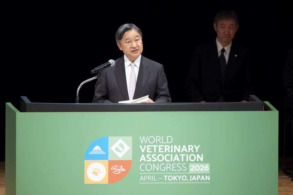 お写真