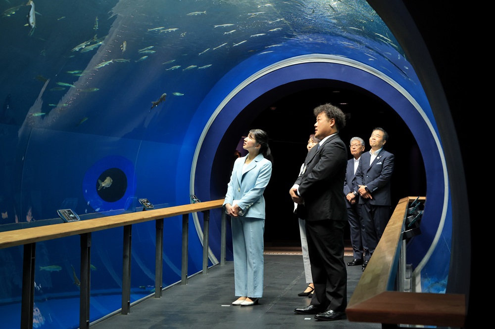 お写真