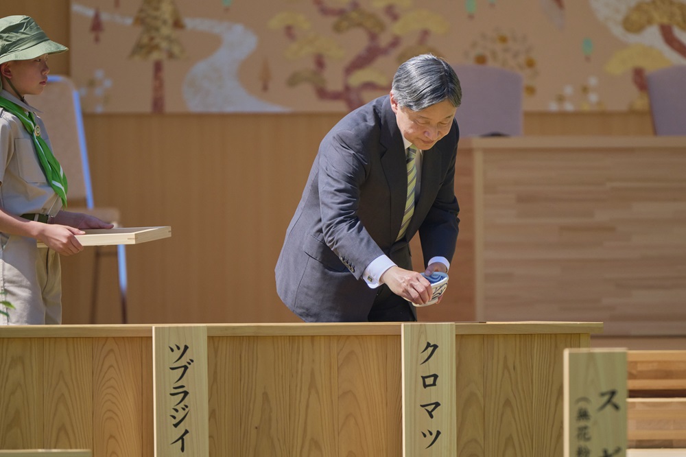 お写真